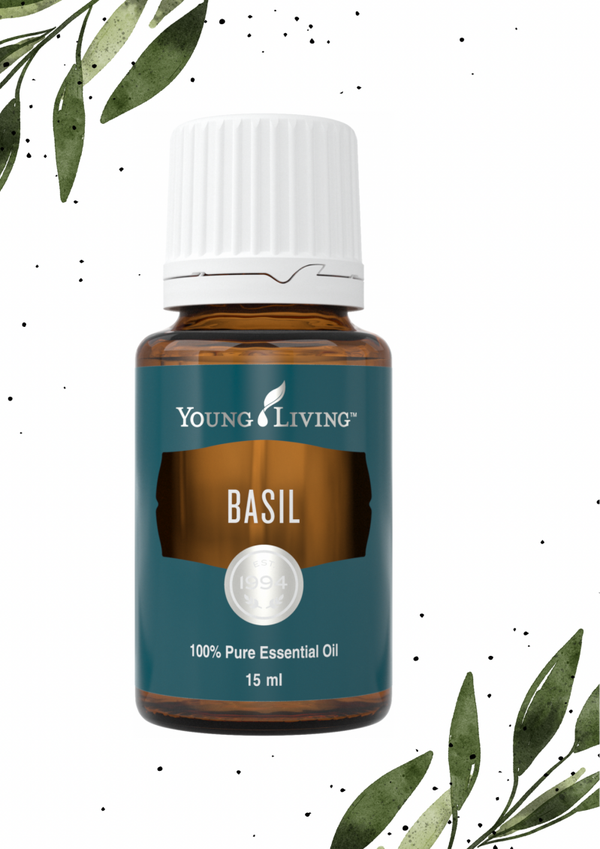 Basilicum 15ML