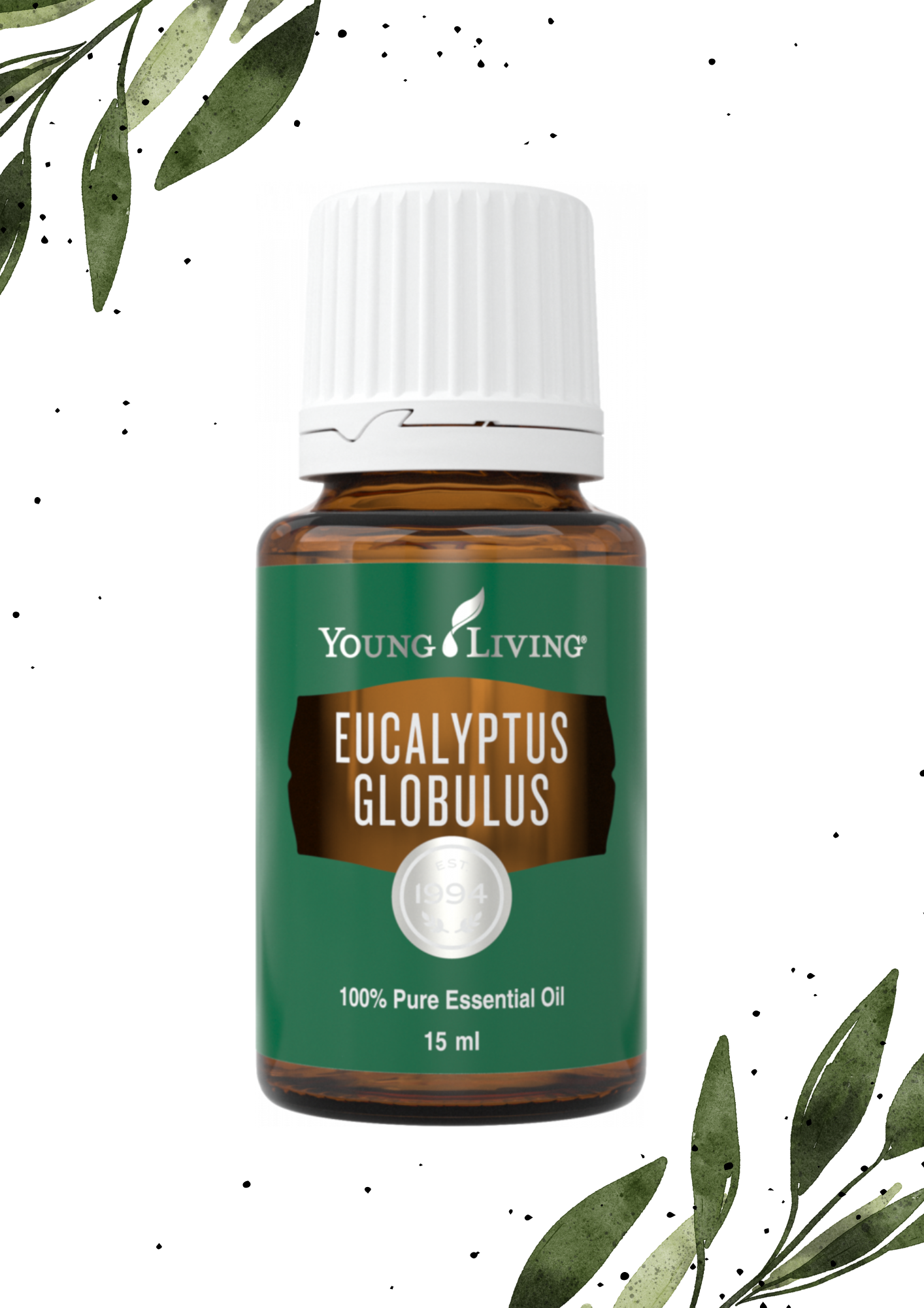 Eucalyptus Globulus 15ML