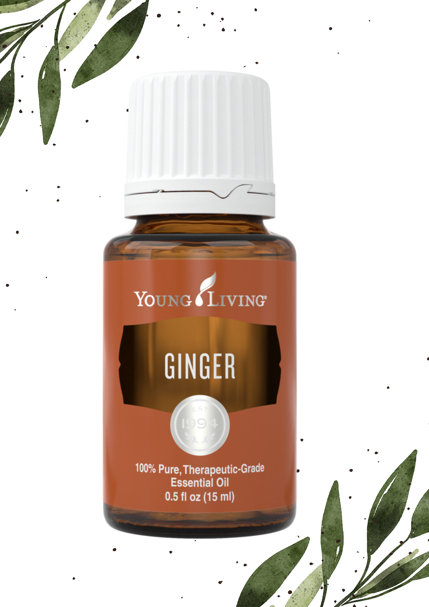 Ginger 5ML