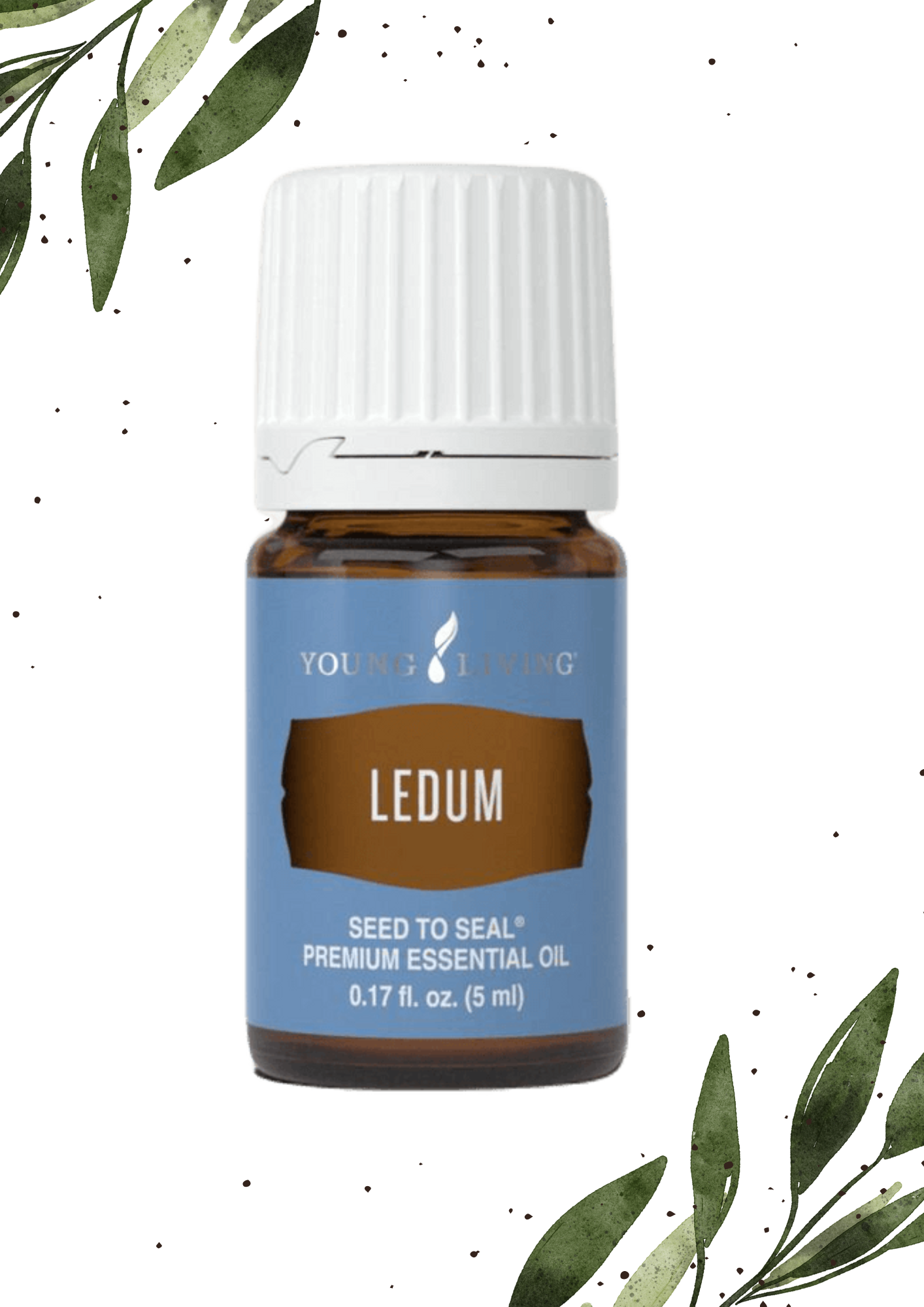 Ledum 5ML