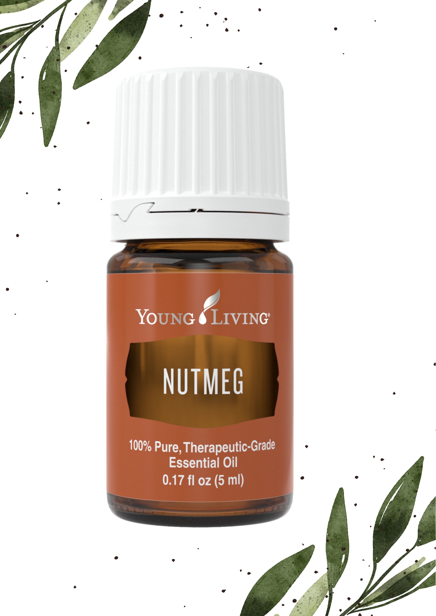 Nutmeg 5ML