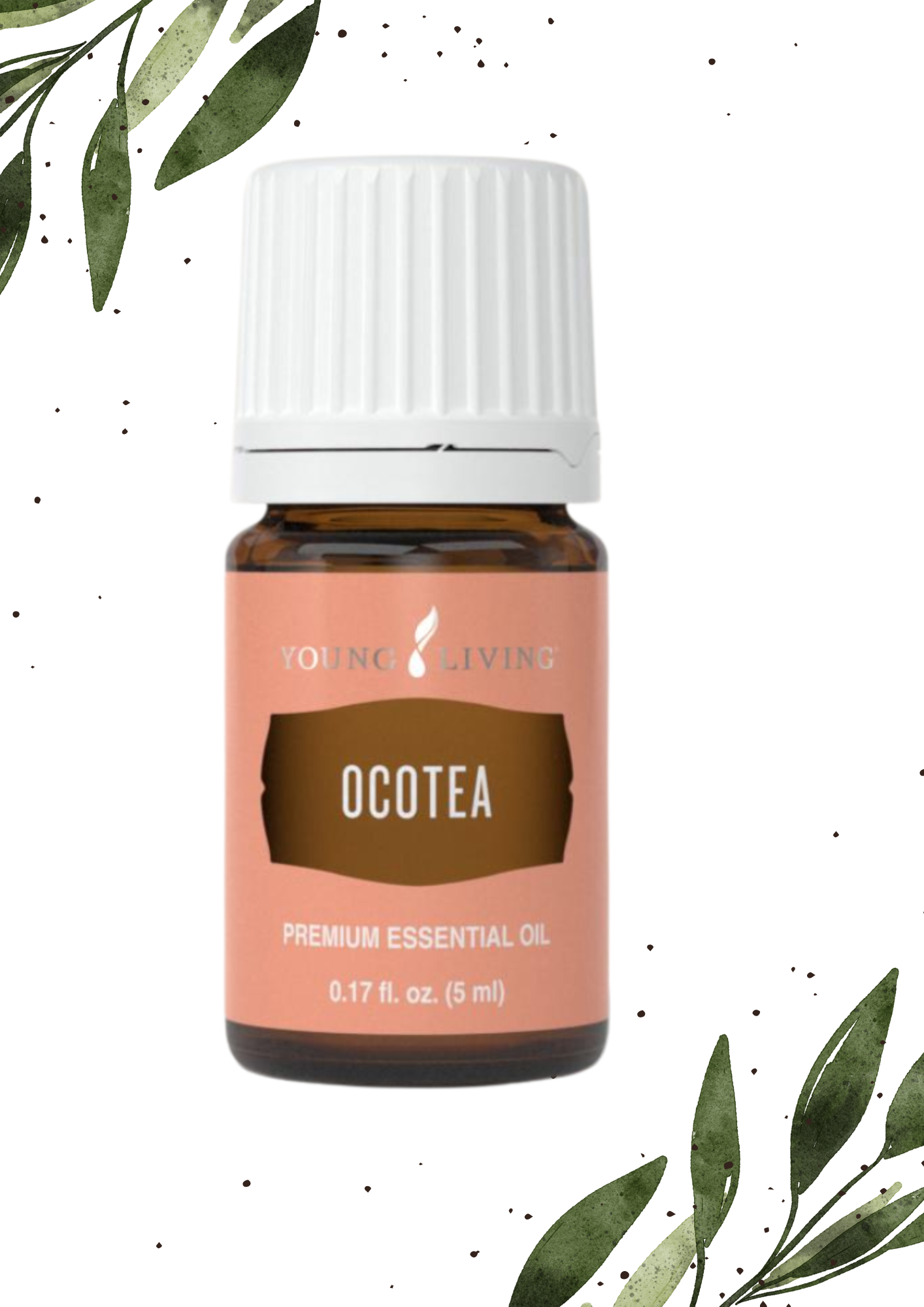 Ocotea 5ML