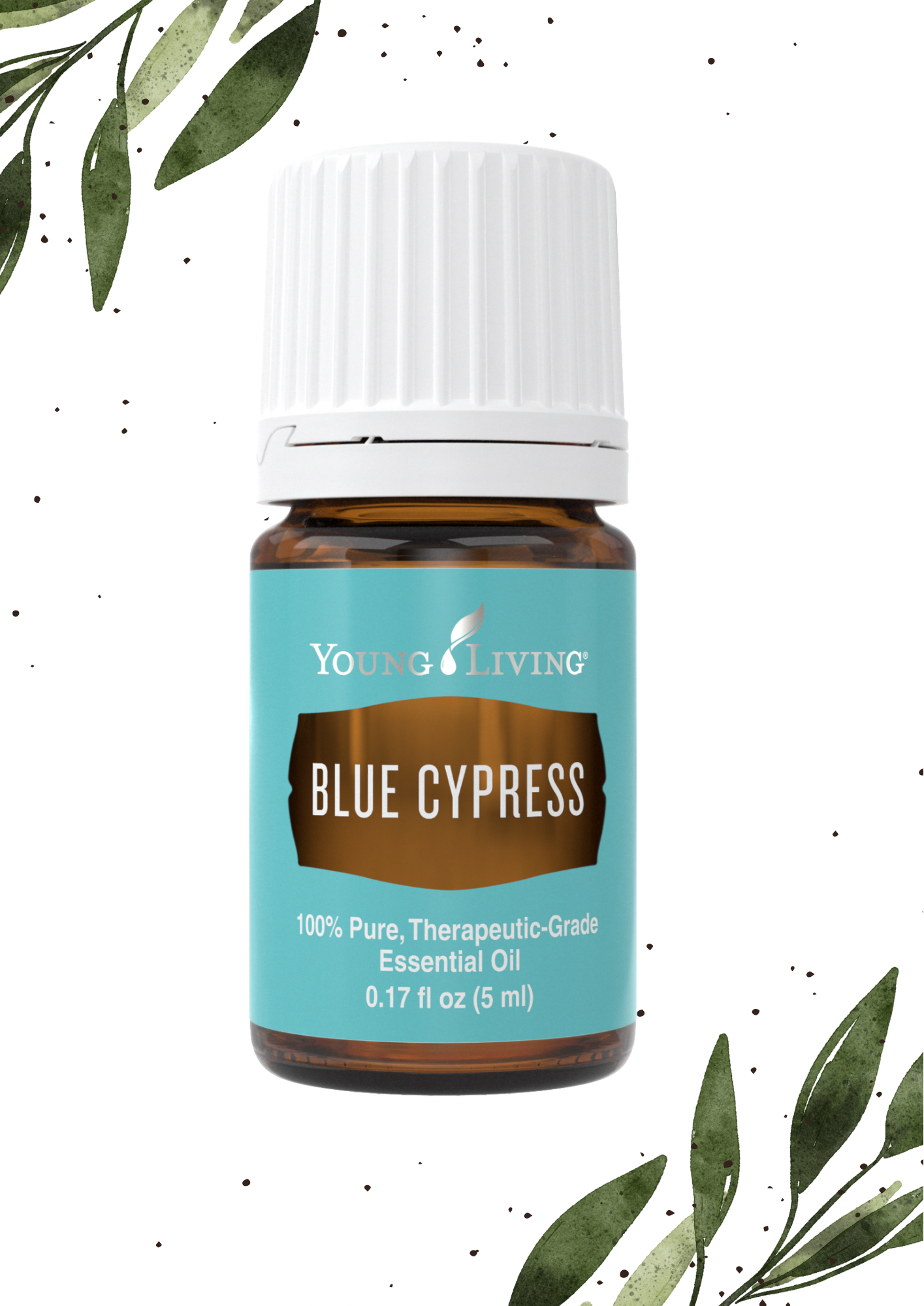 Blue Cypress 5ML