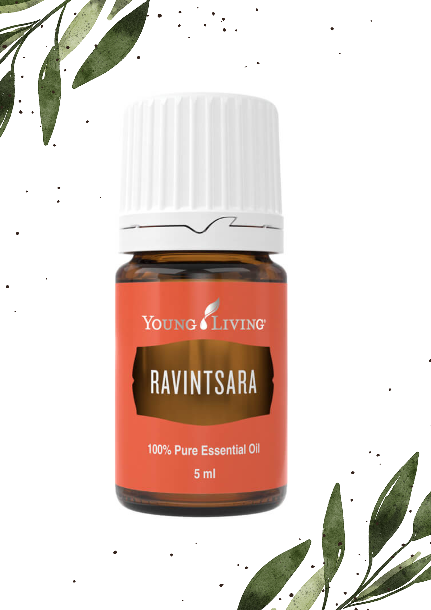 Ravintsara 5ML