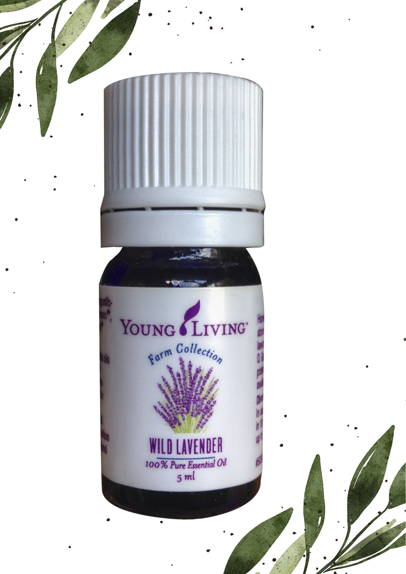 Wild Lavender 5ML