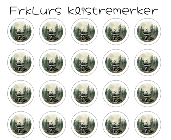 Rullestol tur