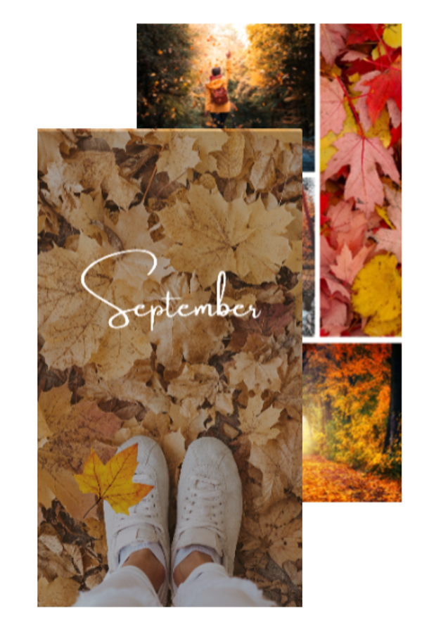 September dashboard