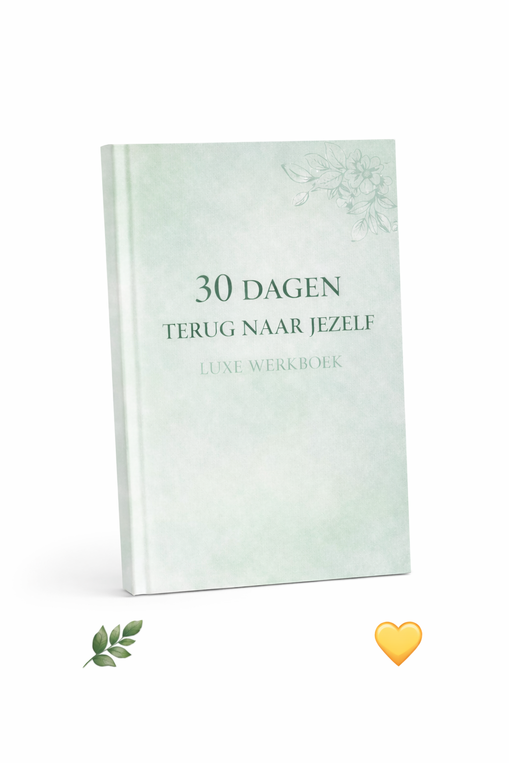 30 dagen Terug naar Jezelf Luxe Werkboek