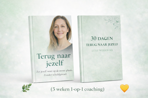 Pakket 2: E-Book + 30 dagen Luxe Werkboek + 5 weken 1-op-1 coaching