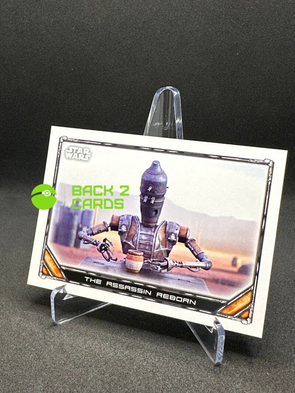 The assassin reborn / 63