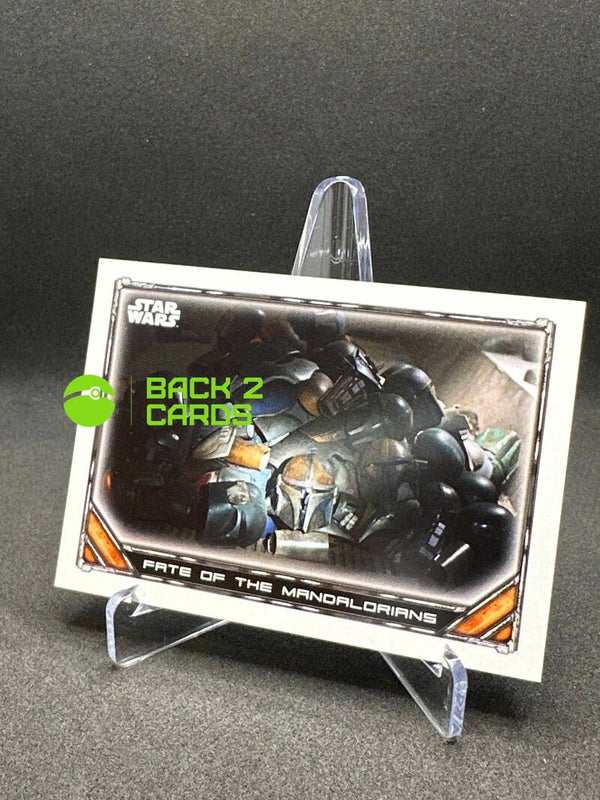 Fate of the Mandalorians / 74