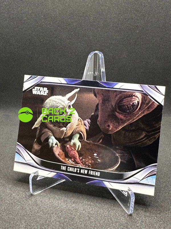 The child's new friend / 111