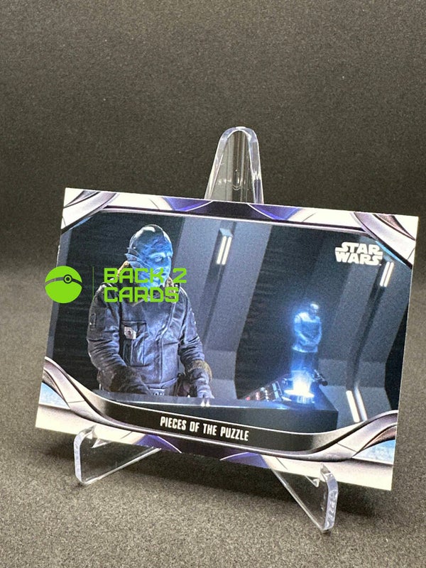 Pieces of the puzzle / 114