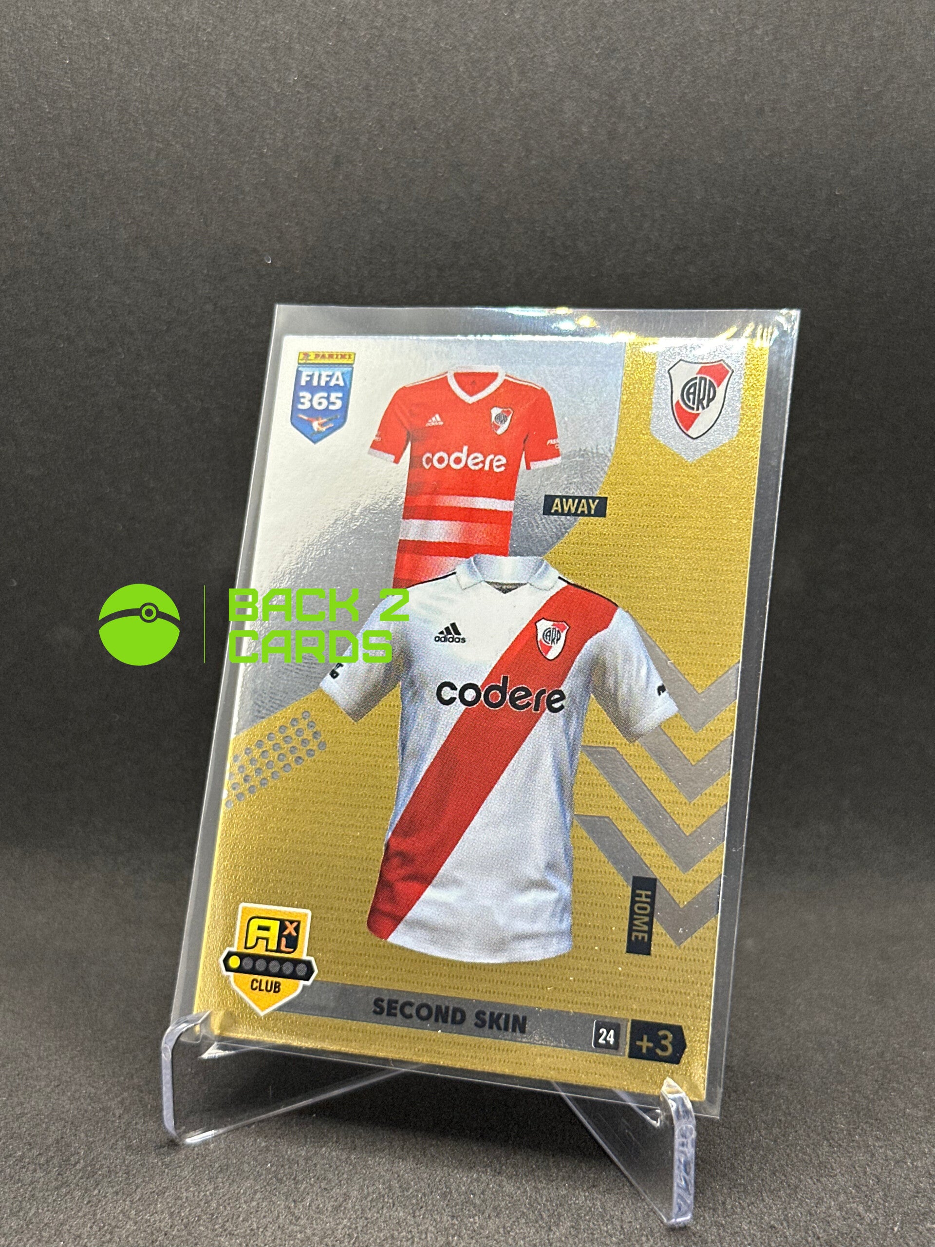 24 - Second Skin - Team Mate - 2023