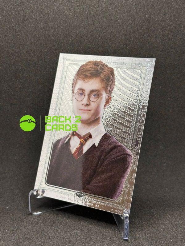 #31 Harry Potter