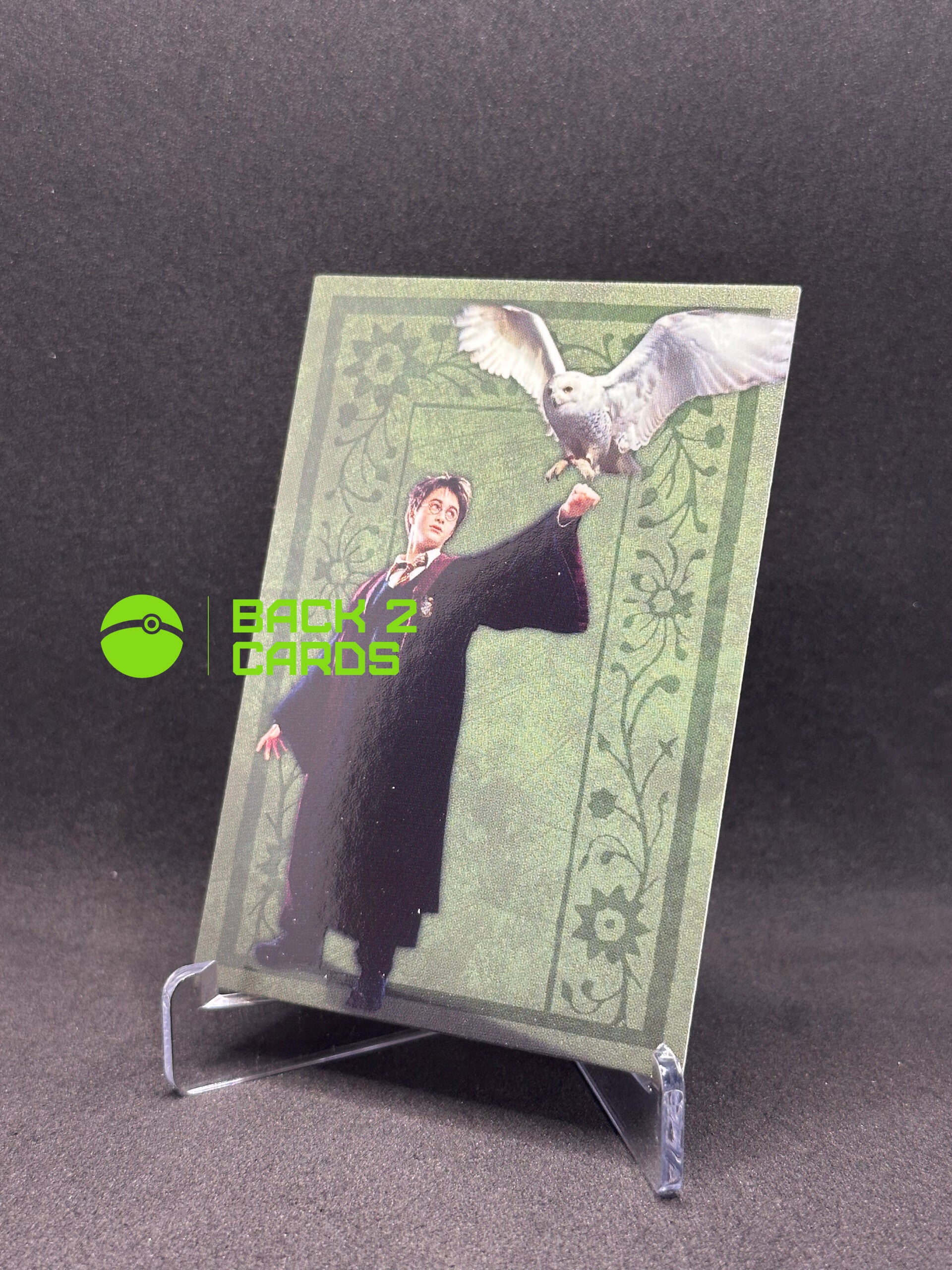 Panini Harry Potter Evolution Trading Cards Nr 016 Harry Potter