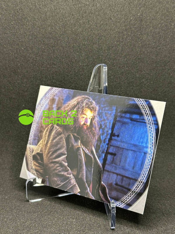 #136 Rubeus Hagrid Epic Moment