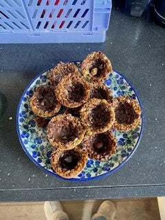 Granola cups (10 stuks)