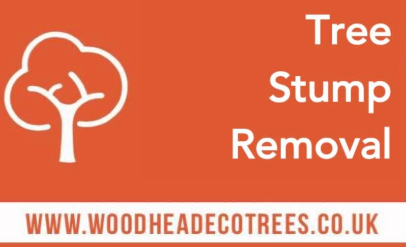 Tree Surgery Tree Stump grinding Tree Removal Tree Pruning Crown Work Tree Removal  Arborists  Arboretum  Hedges Tree work