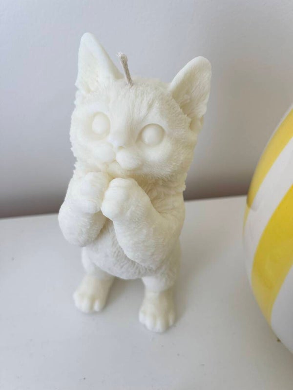 Kitty