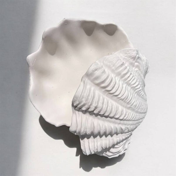 Seashell