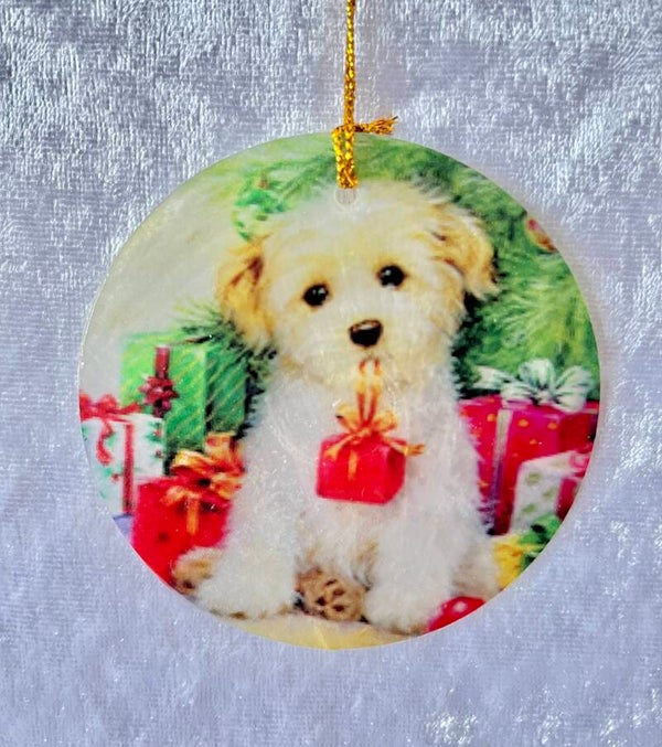 Christmas capiz hanging ornament
