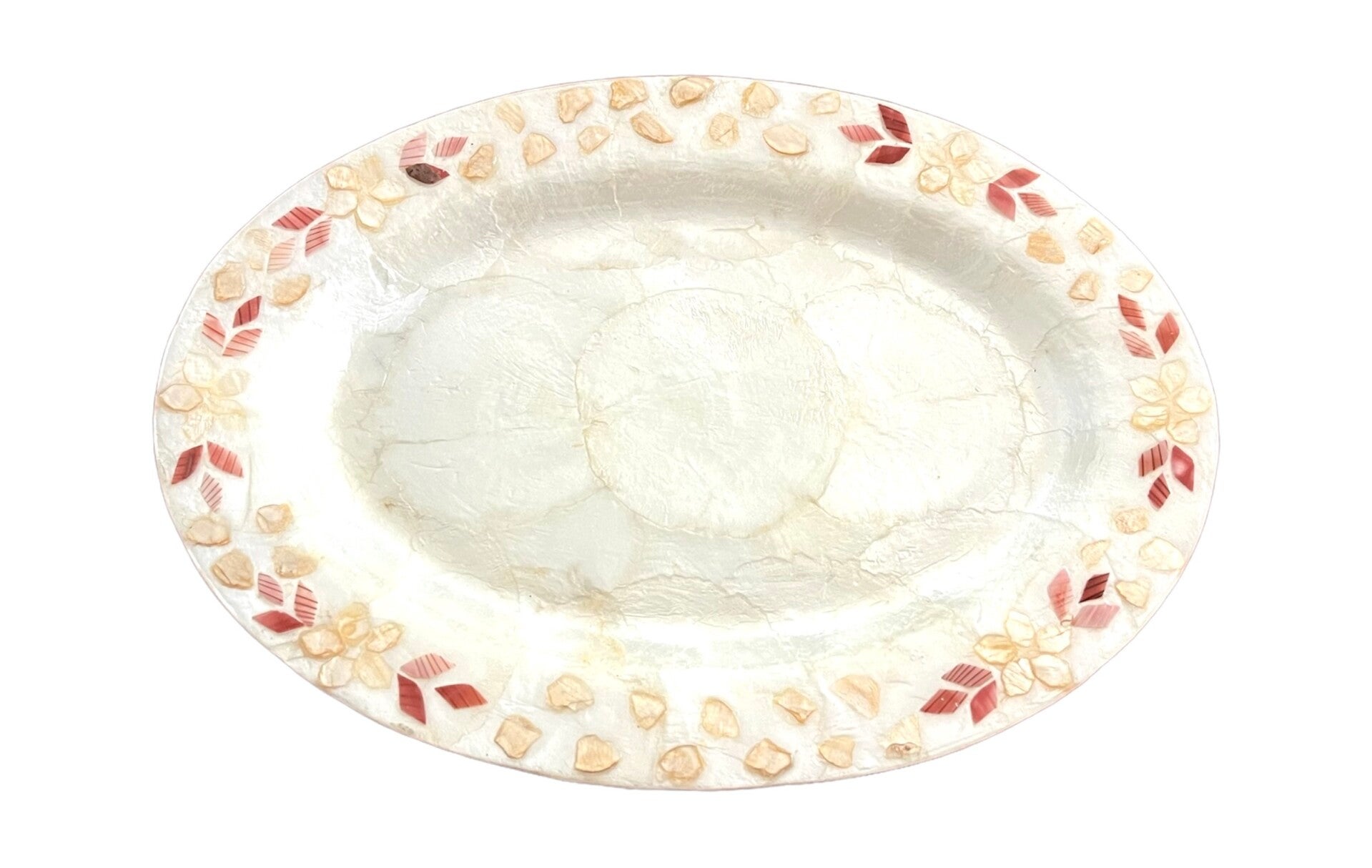 Capiz schaal "ovaal" groot