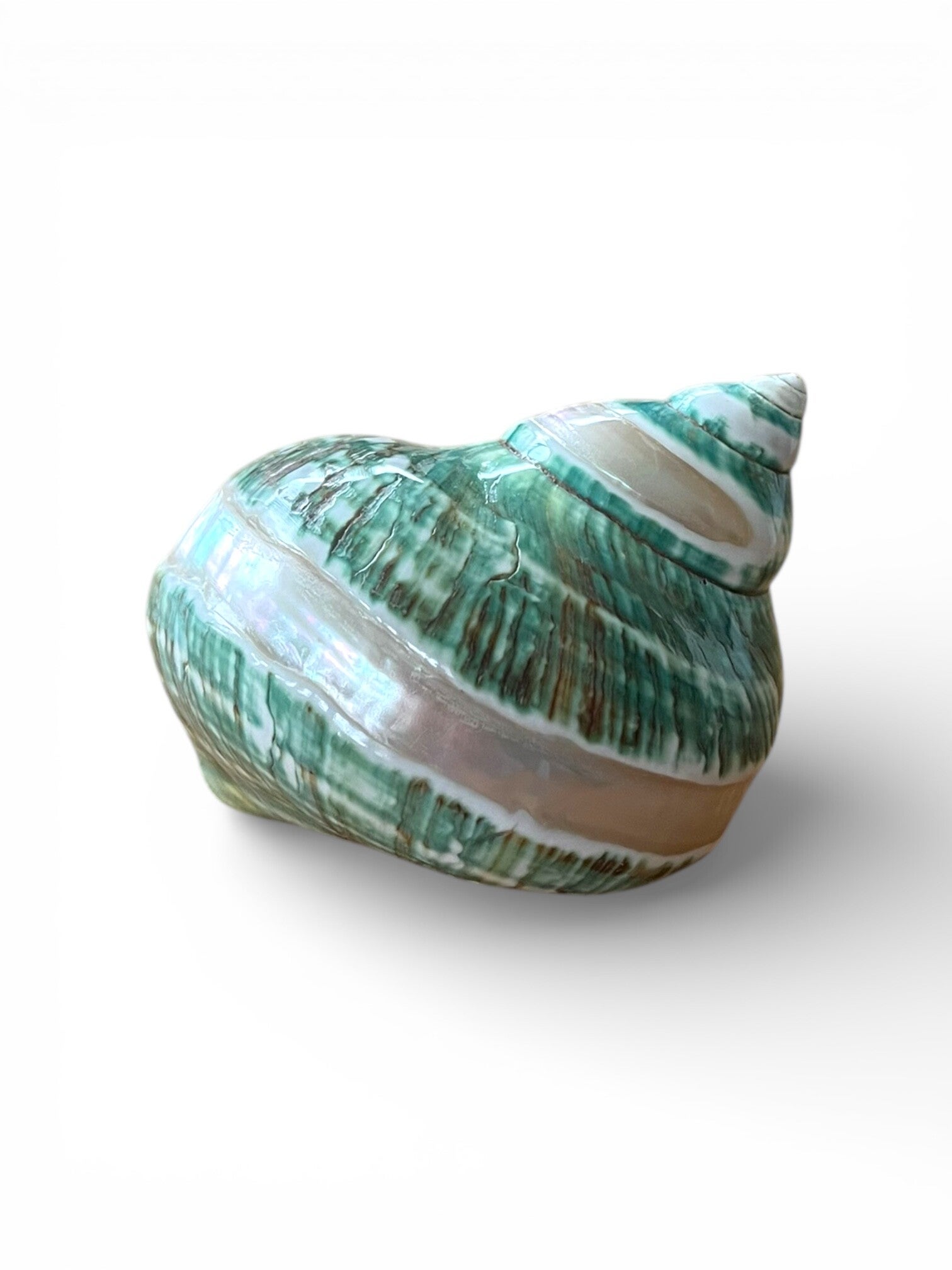 Turbo burgees spiral