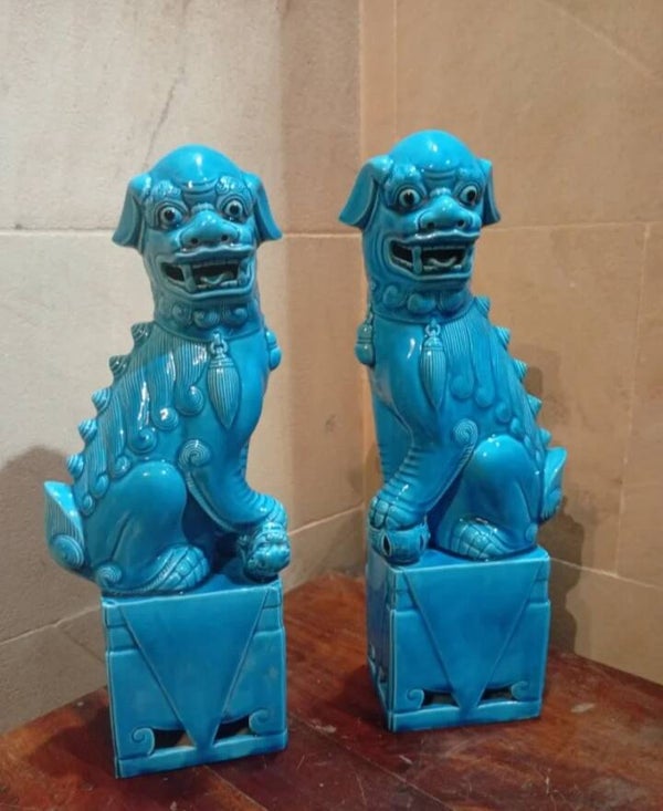 Pareja de perros foo