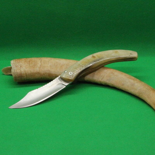 N° 255 – Couteau pliant dit à friction – Corne de brebis blonde