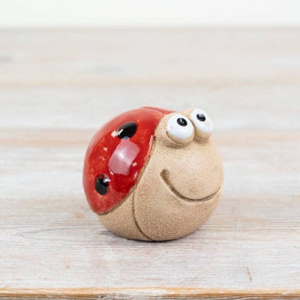 Smiley Face Lady Bug Deco