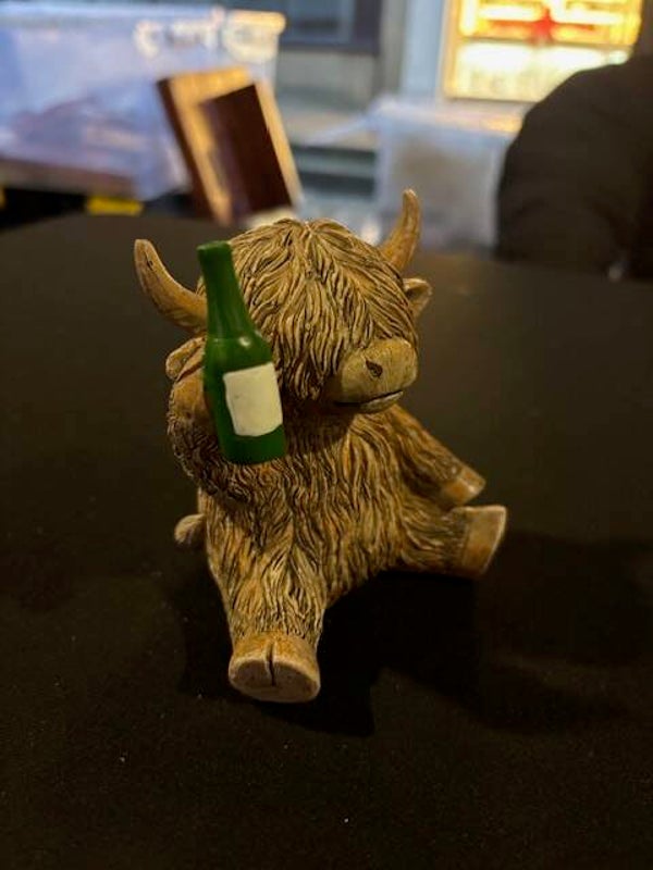 Highland Cow with Beer Bottle
