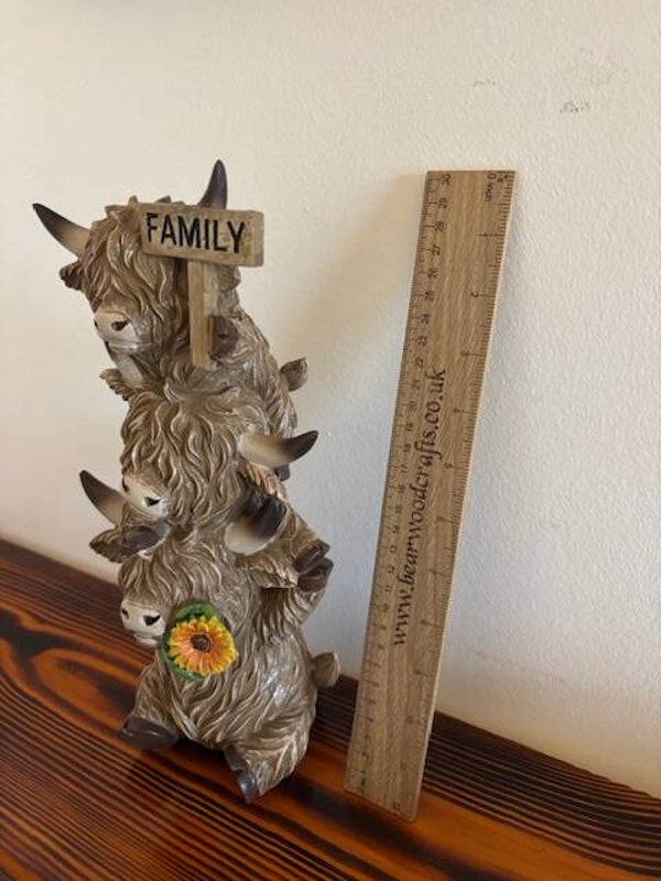 Highland Cows Family