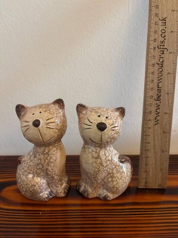 Sitting Cats