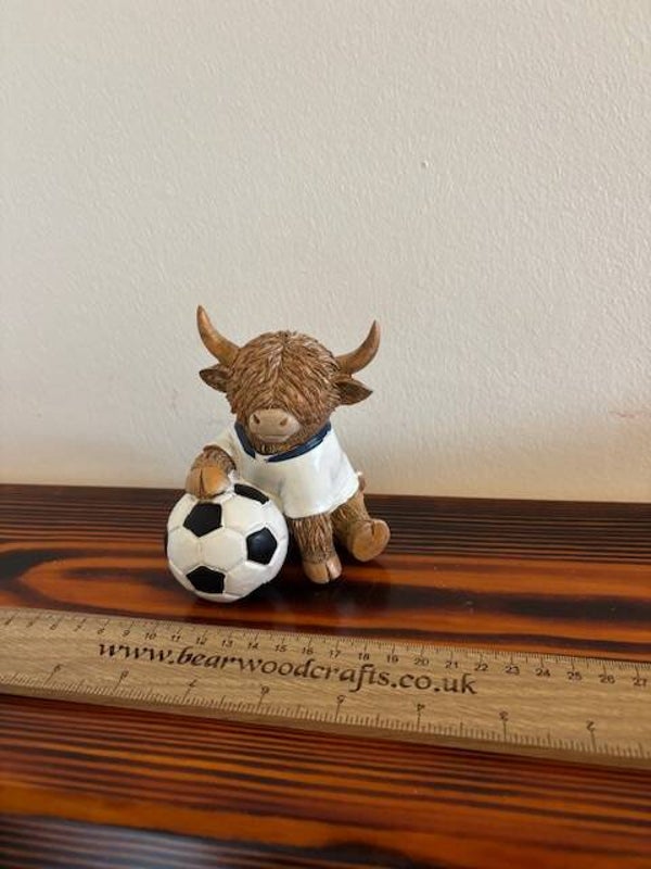 Highland Cow With Football