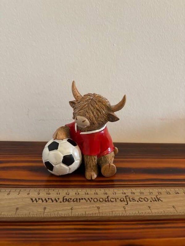 Highland Cow With Football