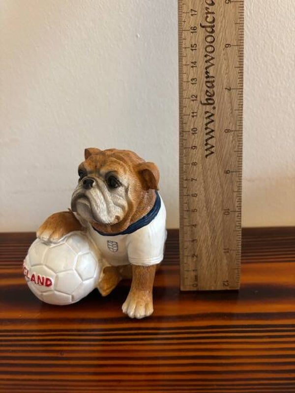 Bull Dog With Football