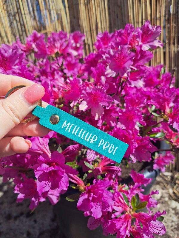 Porte-clé Meilleur prof