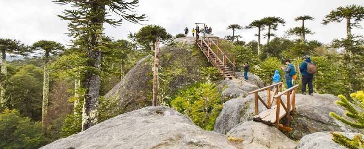 Aussichtspunkt Piedra del Águila Nationalpark Nahuelbuta Chile