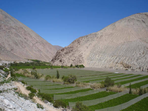 Blick auf das Valle del Elqui nahe Pisco Elqui