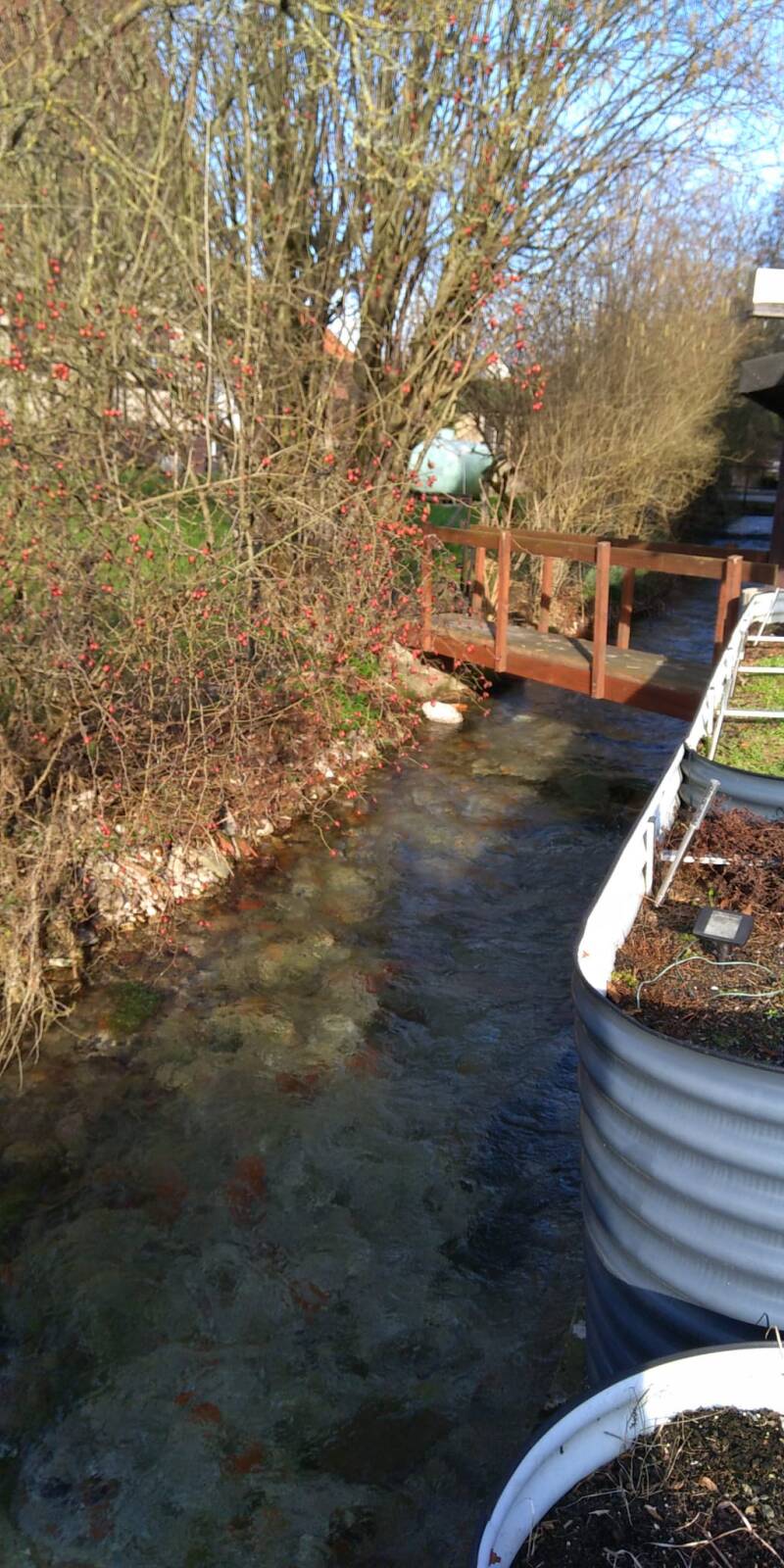 Warne stream / beekje B&B FriesenStee