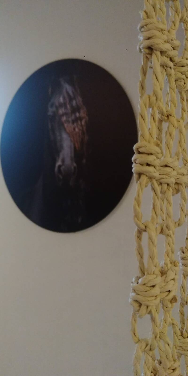 Detail Frisian horse / Fries paard in B&B FriesenStee