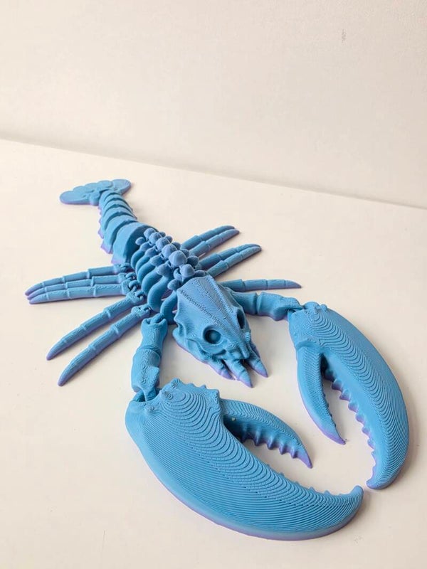 Flexi Lobster