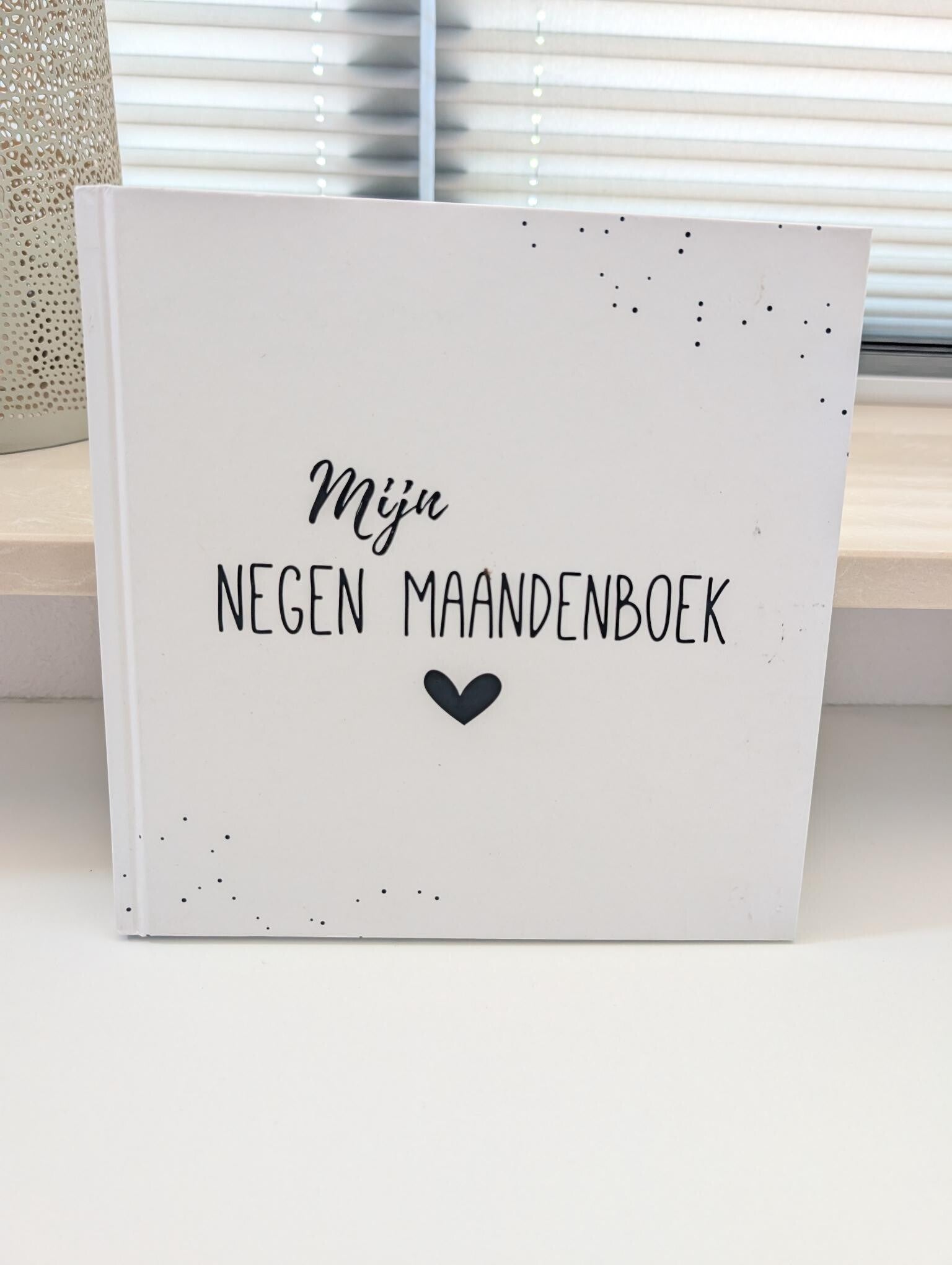 Mijn 9 maandenboek