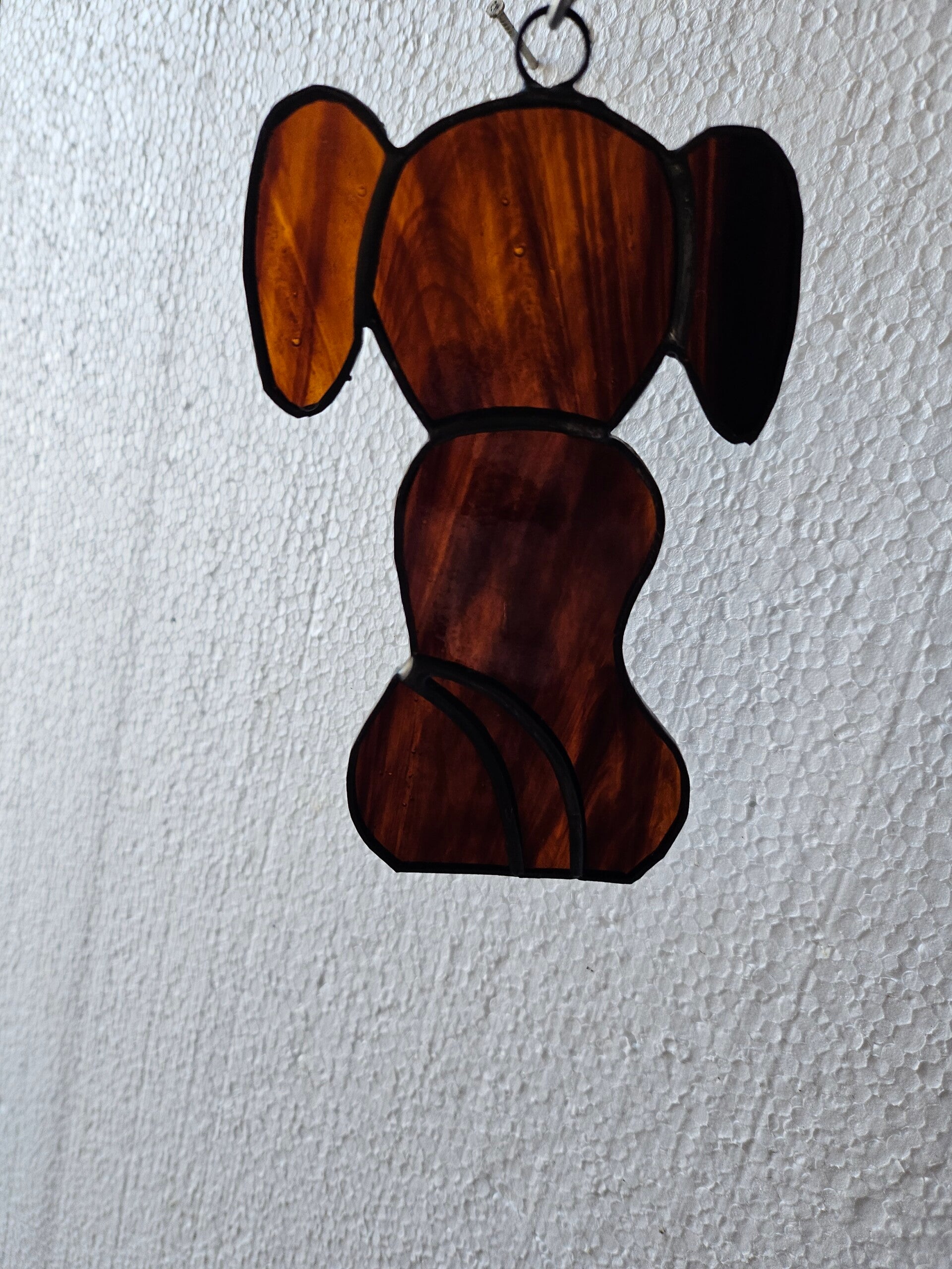 Hondje, bruin, doorzichtig