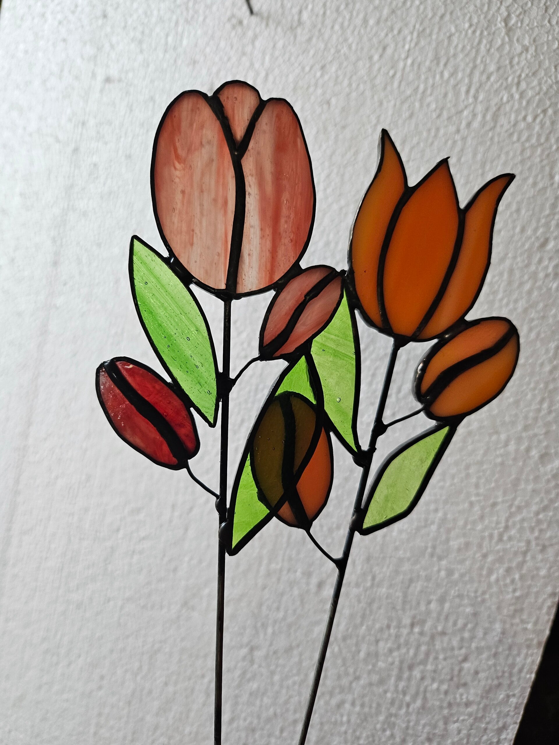 Tulpen, rood en oranje, steker