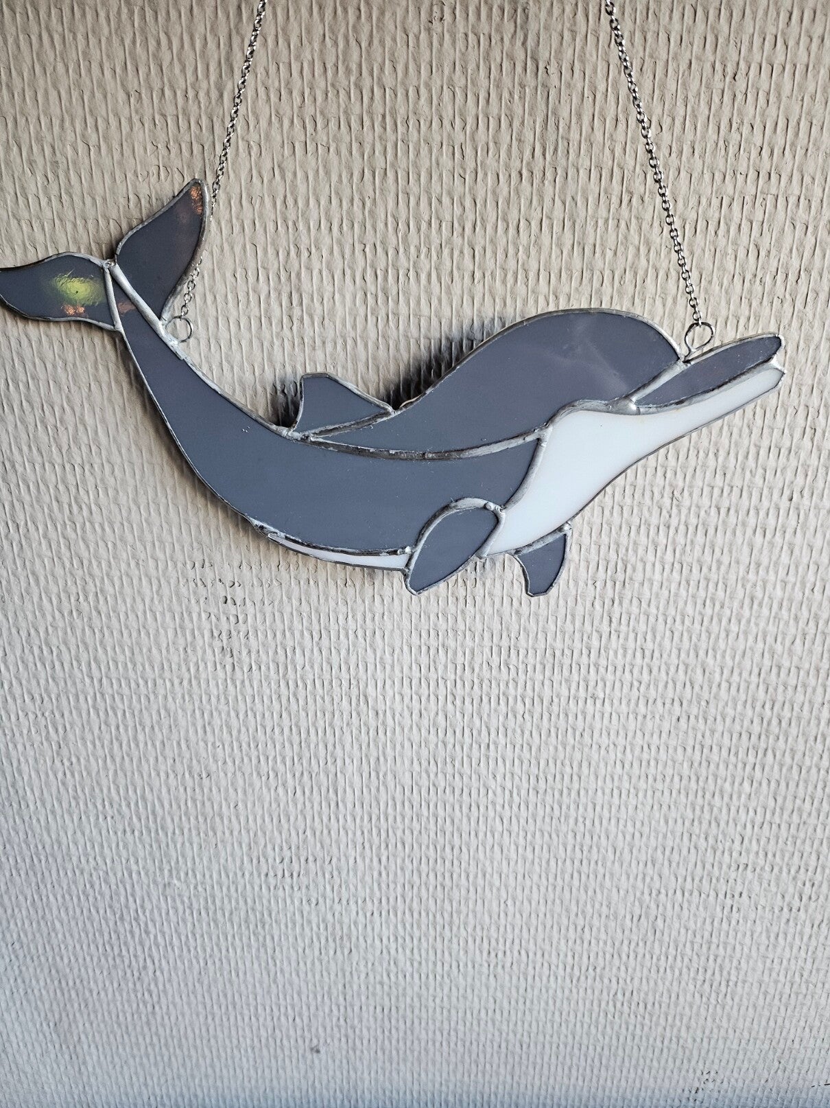 Dolfijn, opspringend