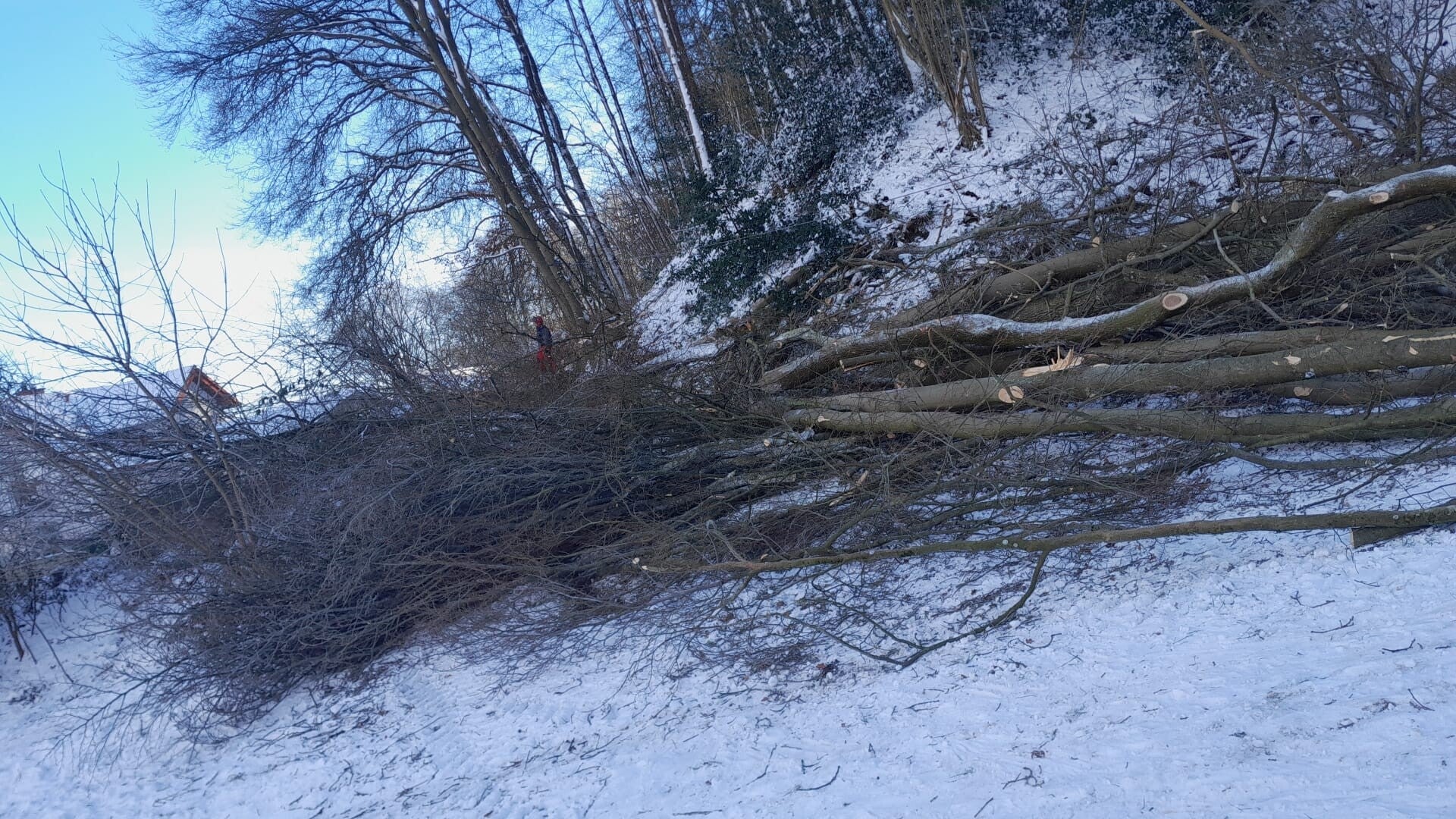 img-20250114-wa0008-standard-wpca31.jpg