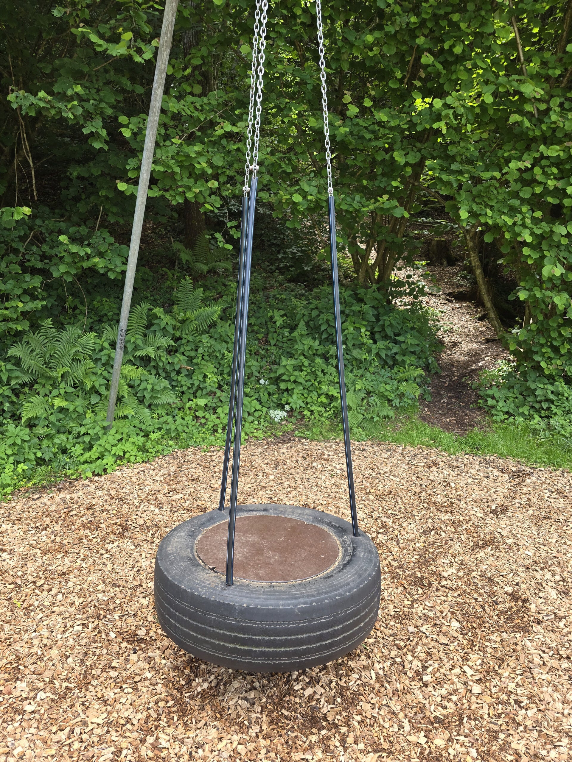 20260606_141930-standard.jpg