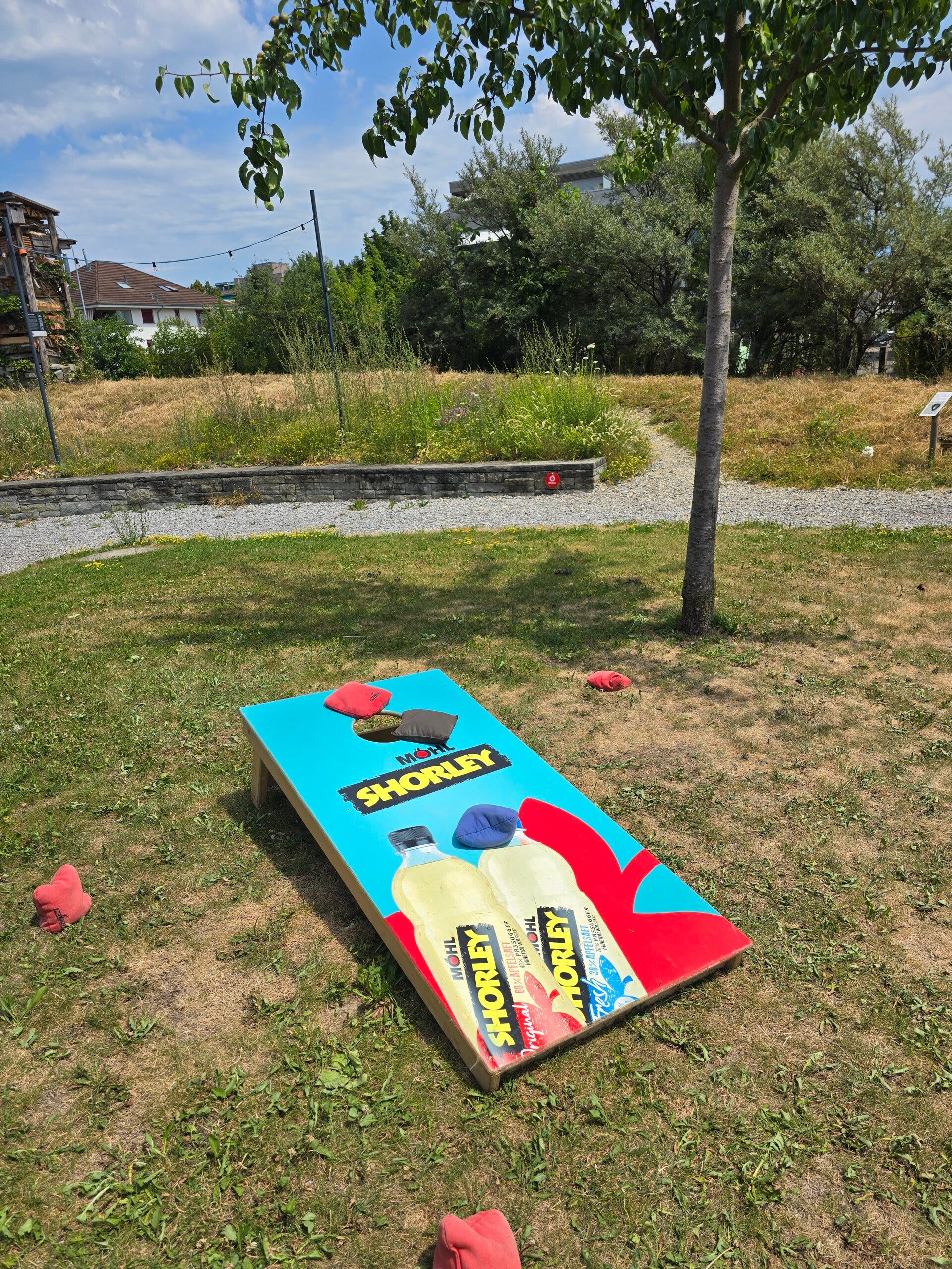 20260628_124909-standard.jpg